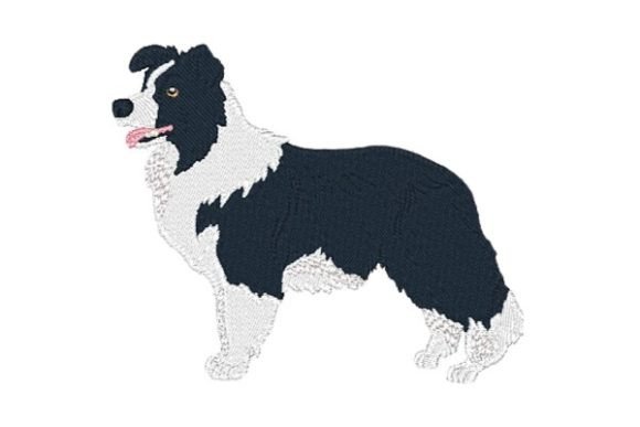 Border Collie-0410: A Thoughtful Embroidery Design for Meaningful Gifts
